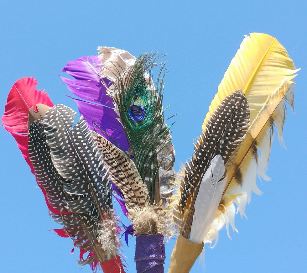Smudging Feathers with leather handles