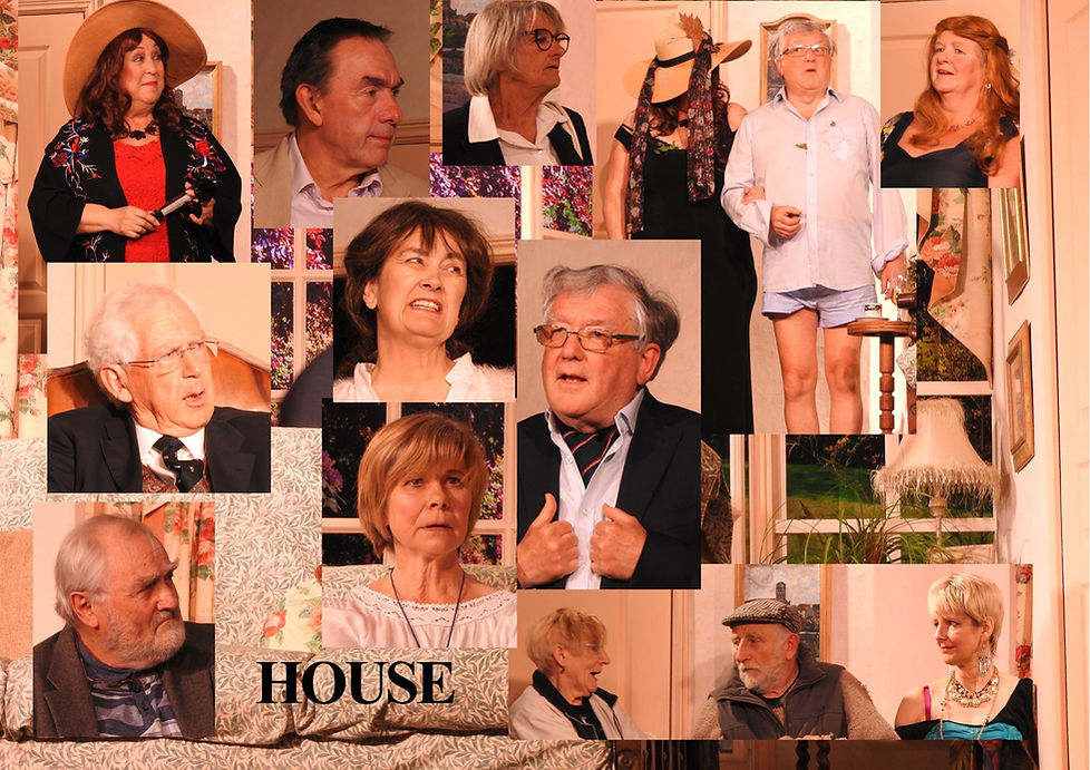 HOUSE MONTAGE 01.jpg