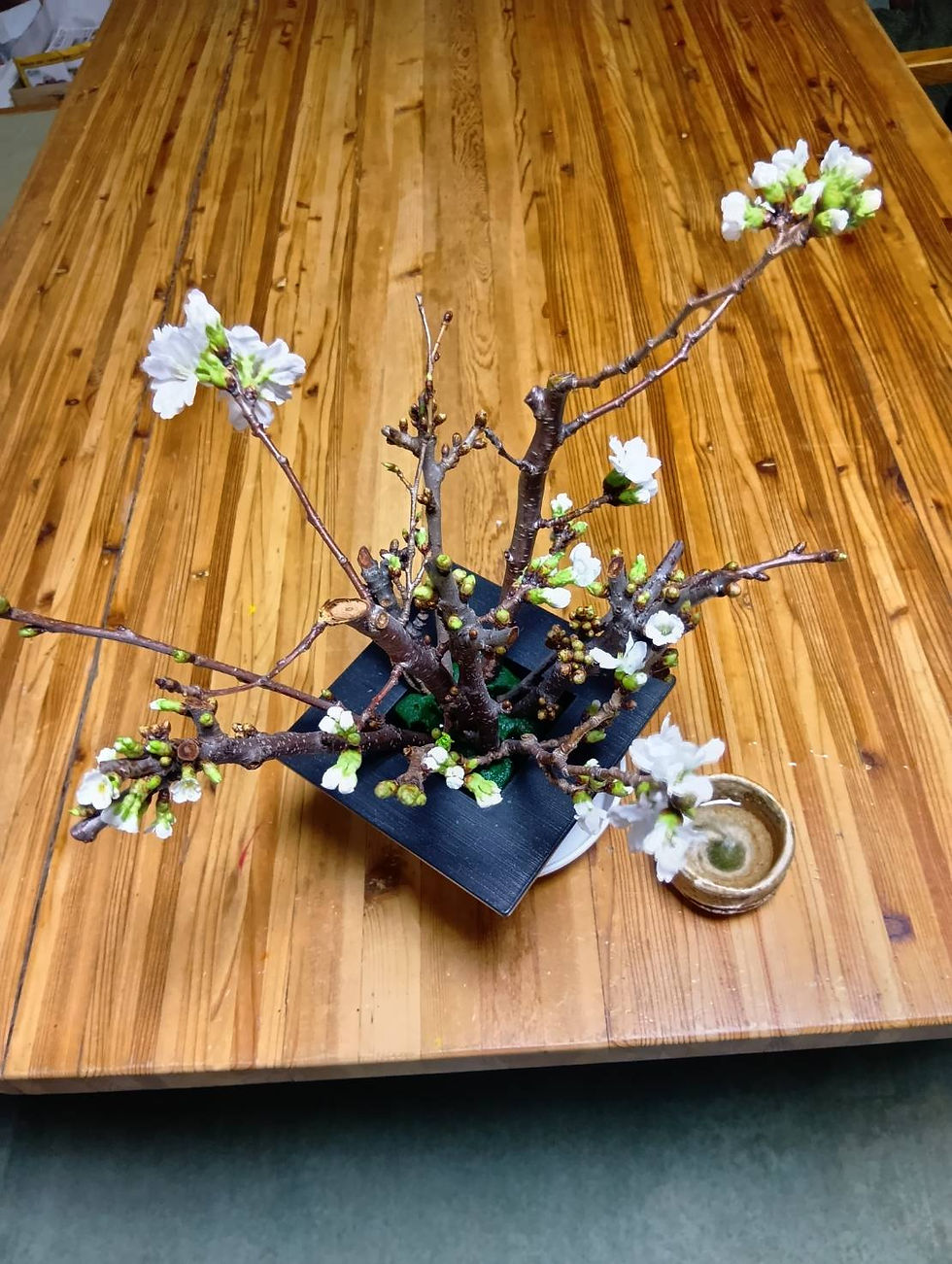 早春の風景です