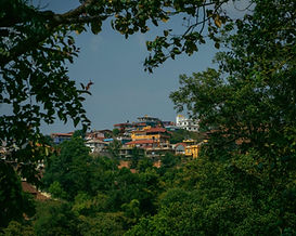 Karnataka Heritage & Hills PP