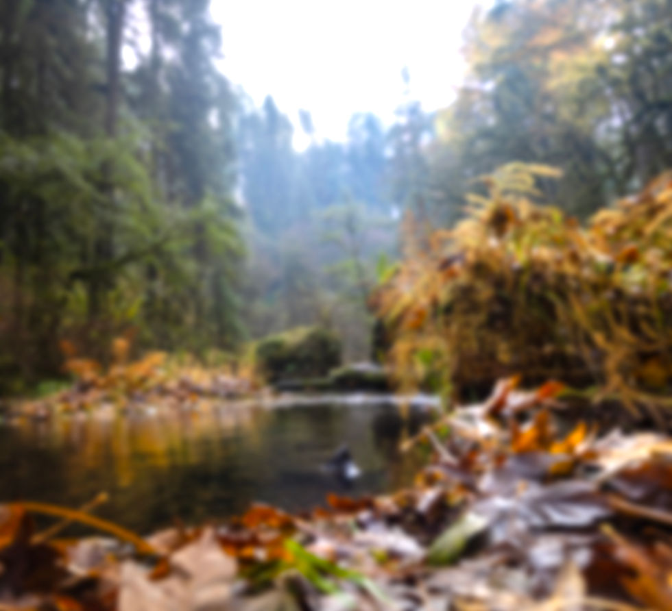 SIlverFalls31 copy.jpg