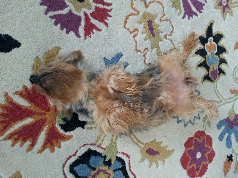 2014-01-24 12.00.31-1