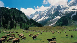 Explore the best Shimla tourist places, from Mall Road and Jakhoo to Kufri day trips. Get itineraries, INR budgets and seasonal travel tips.