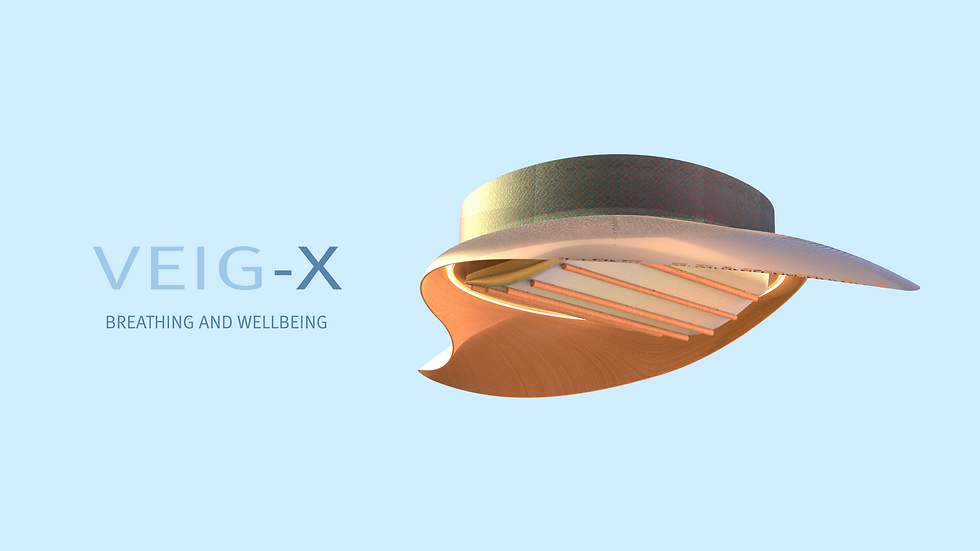 veig-X presentation folio-01.png