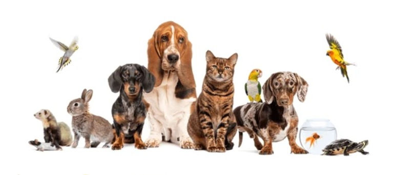 Screenshot 2025-08-10 202551.jpg