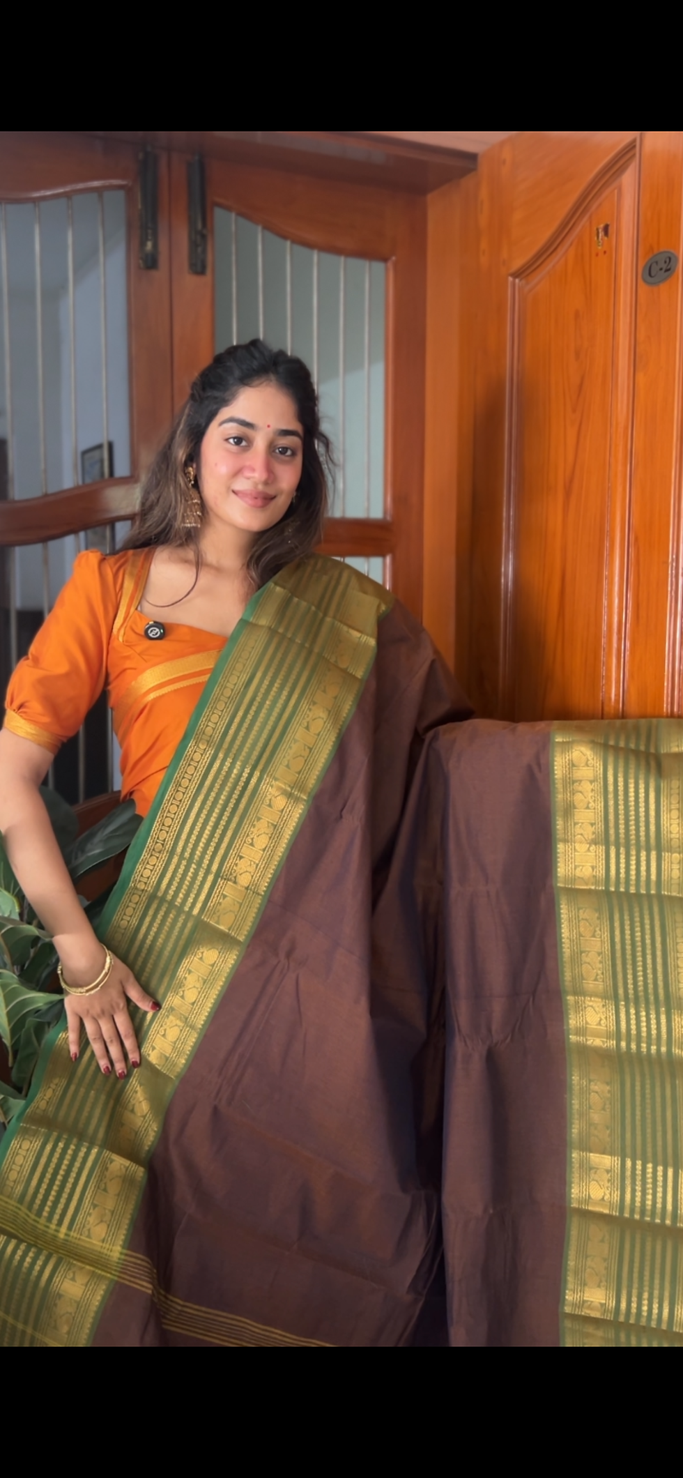 Thumbnail: Kanchi cotton saree - Brown & green 