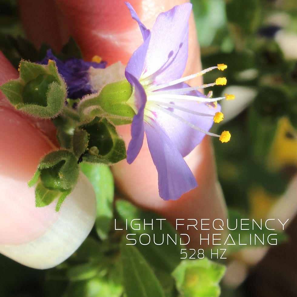 Light Frequency Sound Healing 528HZ