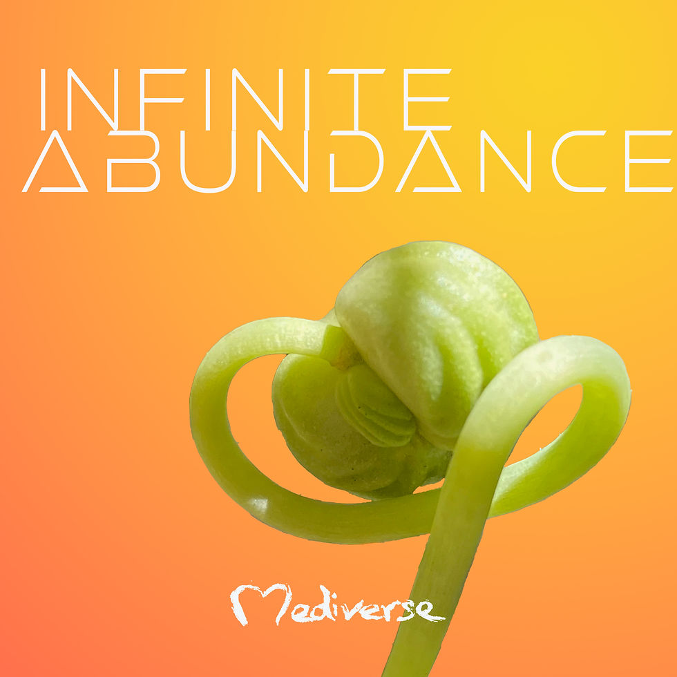 infinite abundance | mediverse