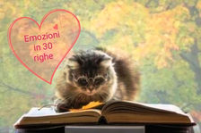 EMOZIONI IN 30 RIGHE