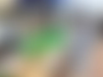 林業祭りに集まれ！