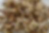 DSC04077.jpg