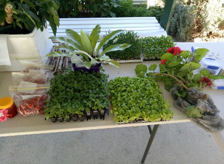 Harvest Share