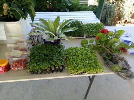 Harvest Share