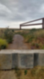 Entrance Road