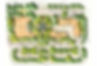civ_palm10.jpg