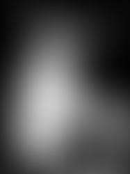 The Chiaroscuro Philosophy