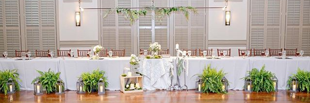 Fern Rentals