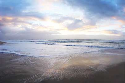 有限会社ビデオタウン企画