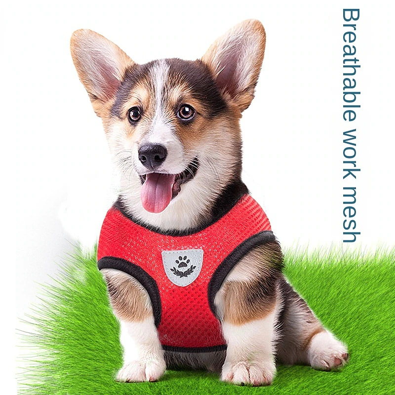 Miniatura: Adjustable Harness Collar for Cats and Dogs