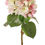 Thumbnail: Hortensia Sensitive lichtroze