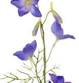 Thumbnail: Delphinium ( Ridderspoor). Blauw