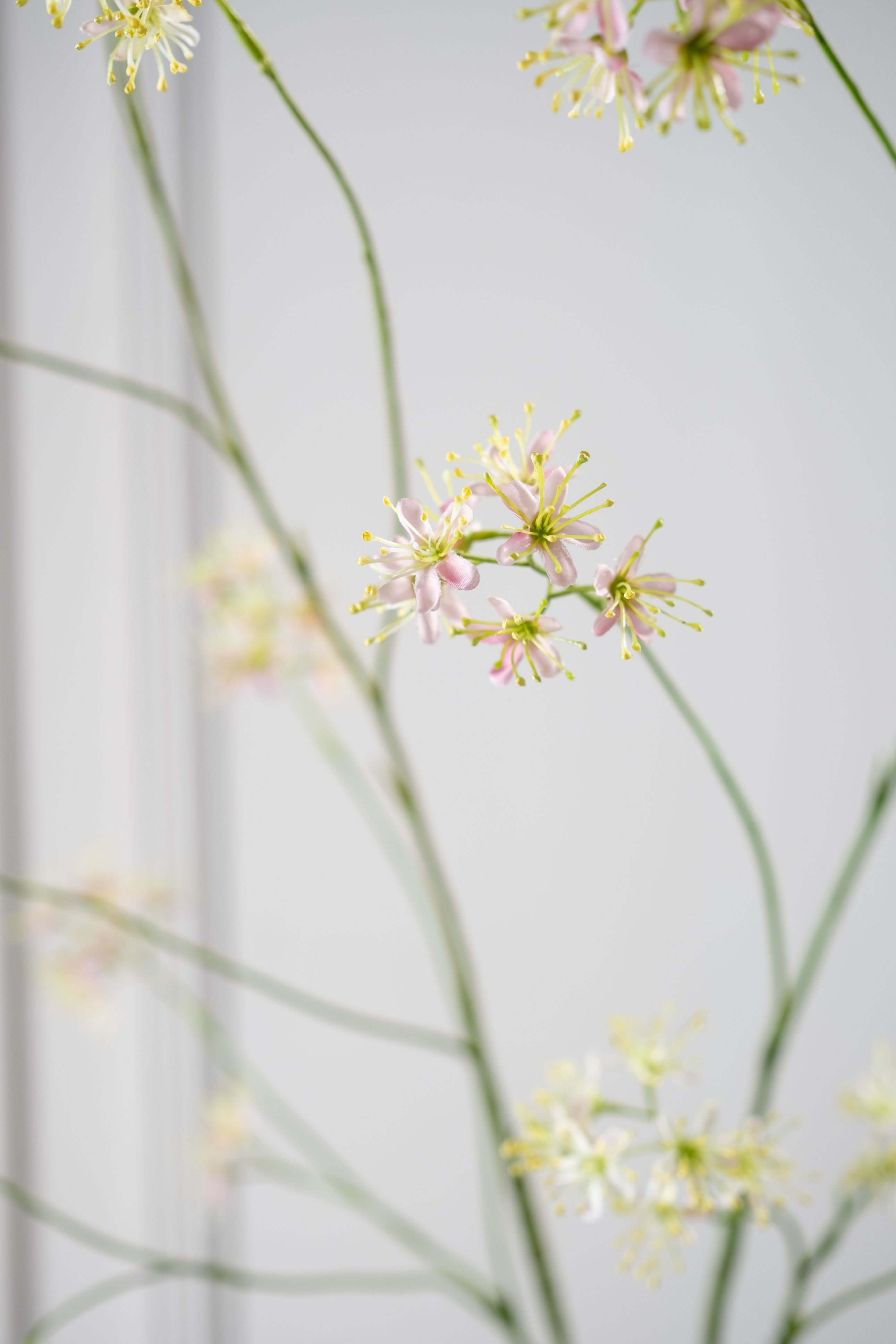 Araliatak roze 74 cm Silk-ka 