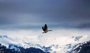 miles-storey-415004-unsplash - Modificata.jpg