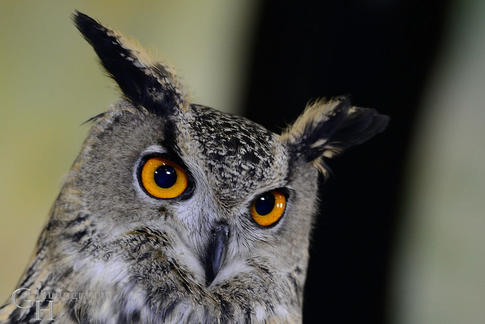 Landscapes and Nature