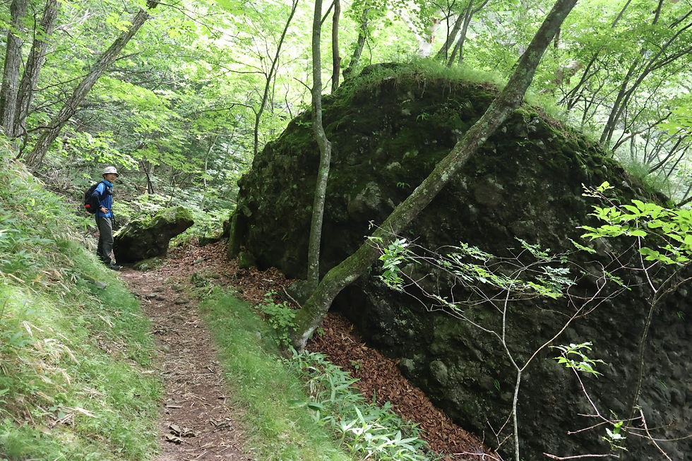 かえる石（前回から命名）に出会えました。