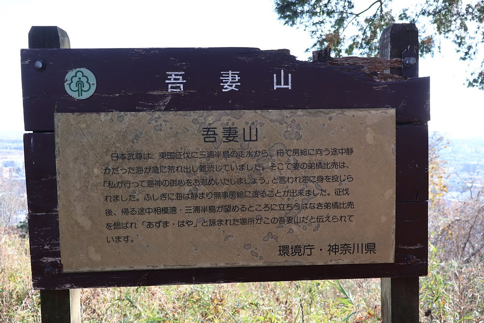 吾妻山はおなじみの日本武尊（やまとたけるのみこと）伝説です。東国征伐の途中海が荒れ、妻の弟橘比売（おとたちばなひめ）が海に身を投げて海神の御心を慰め、海が静まったとのこと。征伐後、帰る途中相模湾・三浦半島が望めるところで弟橘比売を偲んで「あずま・はや」と詠まれた場所がここということですね。これまでにも四阿山でも同じ伝説が伝えられ神社もありました。日本全国にこの伝説の地がどれくらいあるのでしょう？面白いですね。