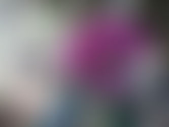 高峰山~花の百名山へアズマシャクナゲに会いに~