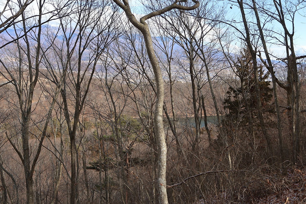右手に須川湖も見えました。