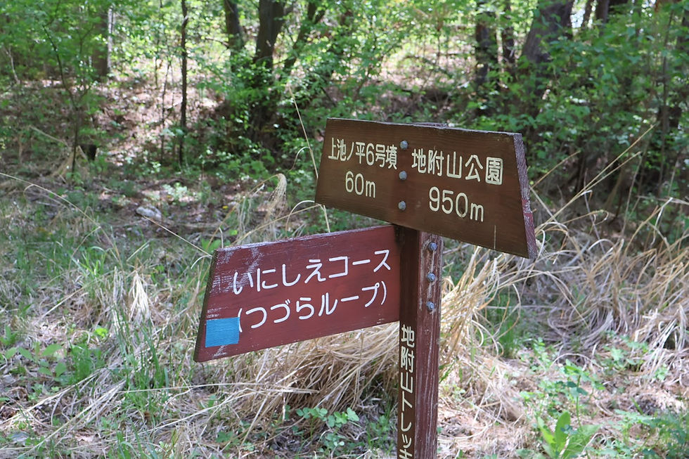 上池ノ平6号墳まで60m。