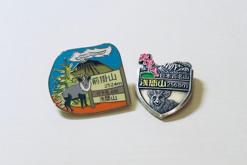 旅の思い出のピンバッジ。どちらのデザインもカモシカがかわいい！