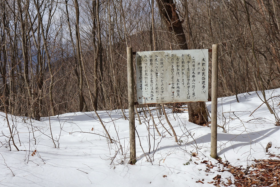 太郎山民俗遊歩(七)水晶林