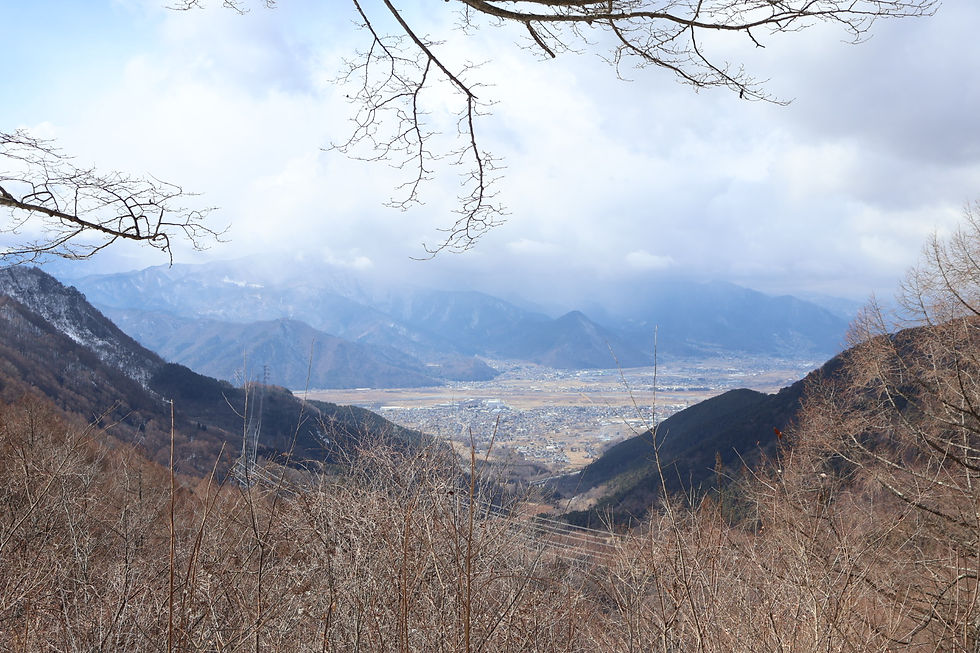 展望台からの景色