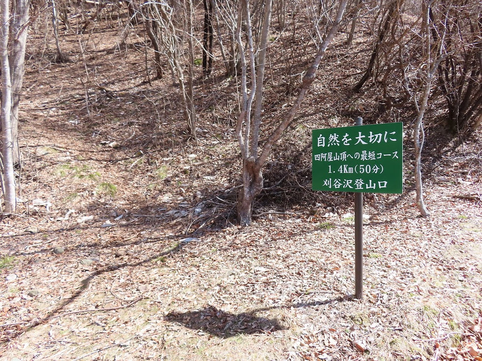 無事下山。このルートが最も最短コースのようです。