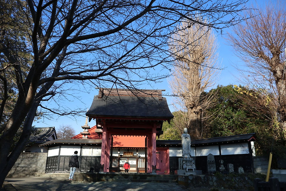 寿徳寺は曹洞宗の落ち着いたたたずまいでした。猫もいっぱいいました。