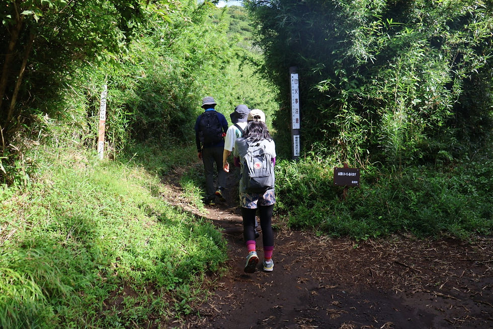 「山頂にトイレあります」と親切な看板。笹の高い登山道に入っていきましょう。