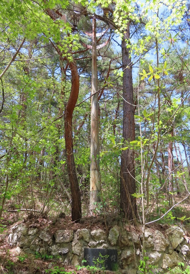 これは何でしょう?