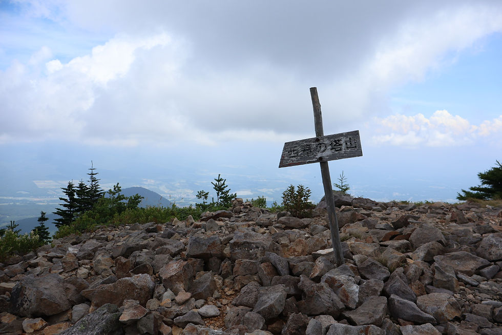 山頂の花や蝶を楽しんだら西篭ノ登山へ