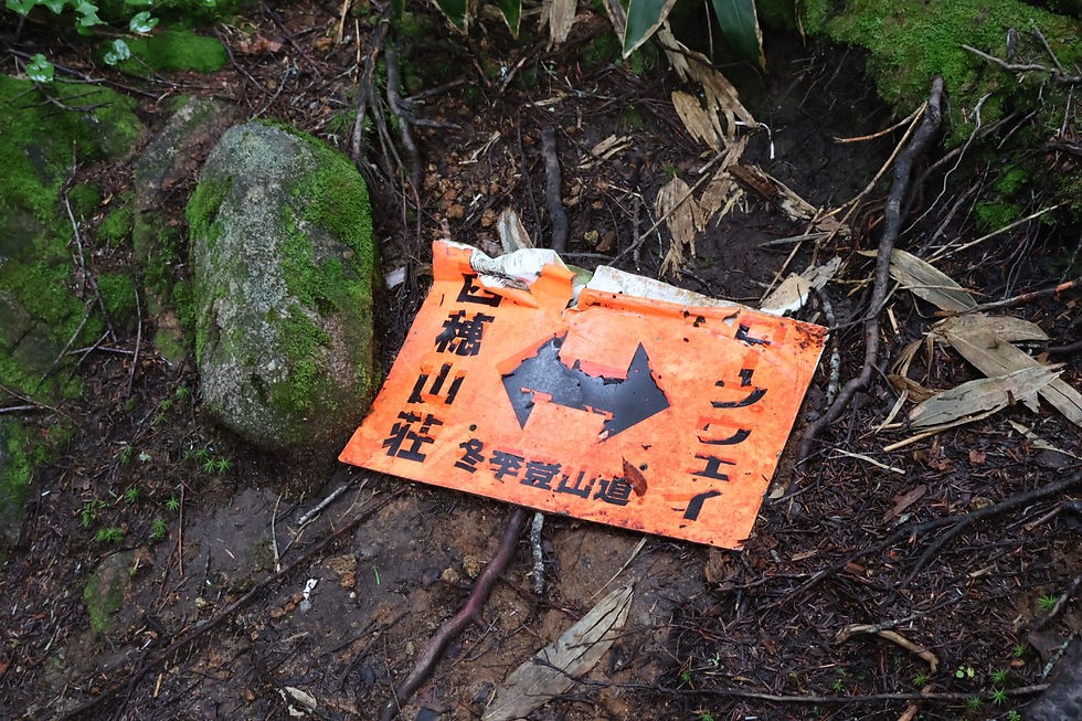 冬季登山道!冬も来てみたい
