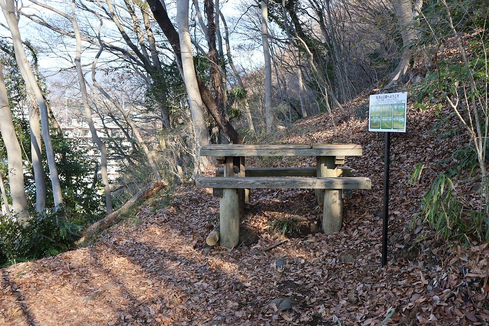 最初の休憩ポイント。登山道は細やかに整備されていて、休憩所も案内板も充実しています。