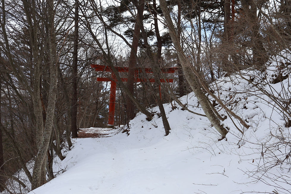 赤い鳥居が見えてきた