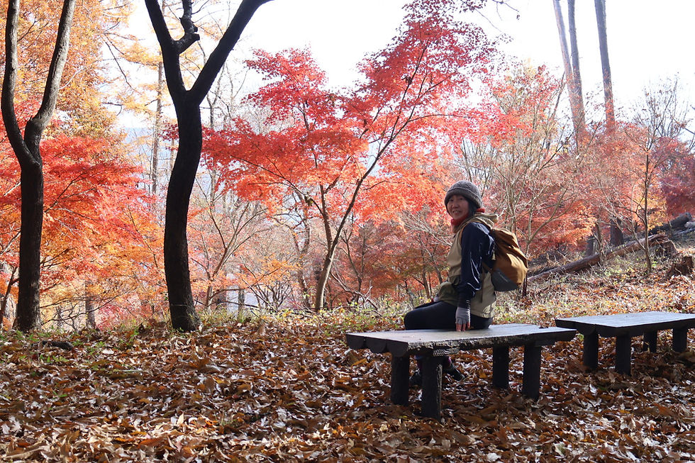 ベンチもあって休憩ポイントになっていました。すごいきれい。