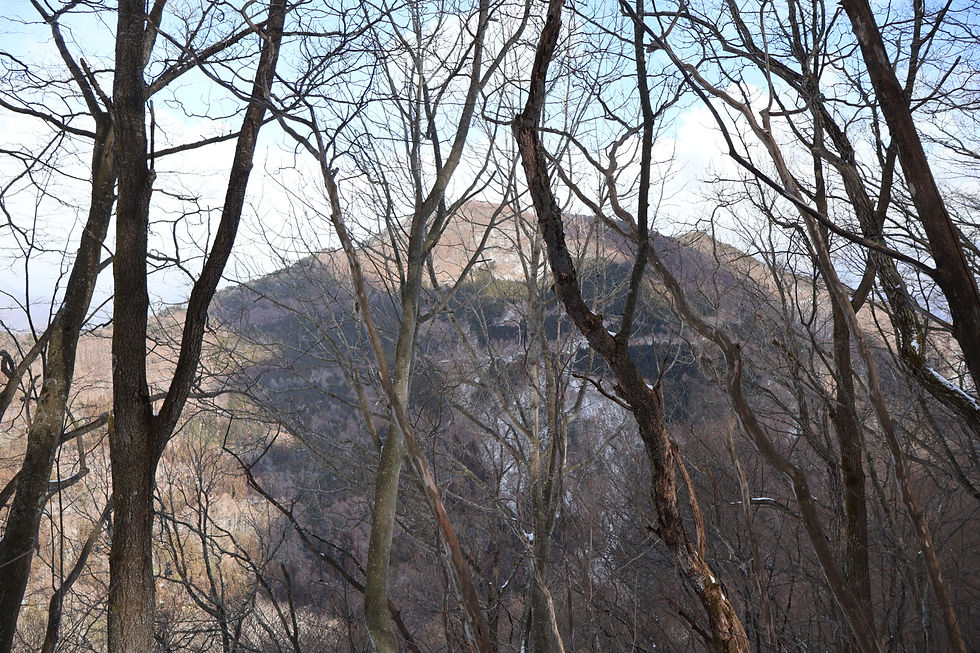 お隣の東太郎山を見ながら