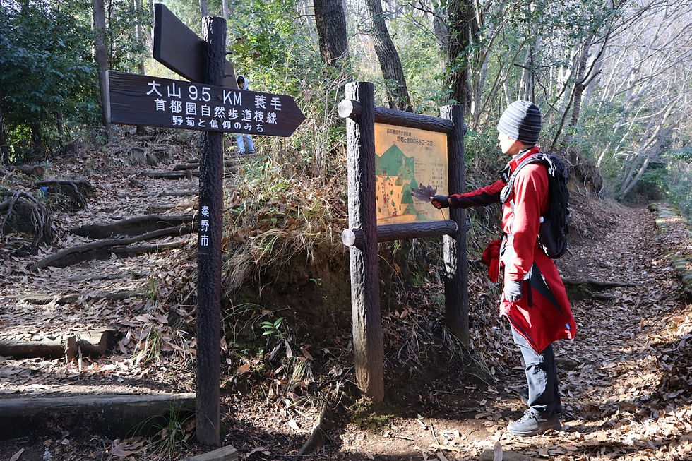 大山への分岐。ここから大山へも行けるんですね、すごい。我々は鶴巻方面へ。