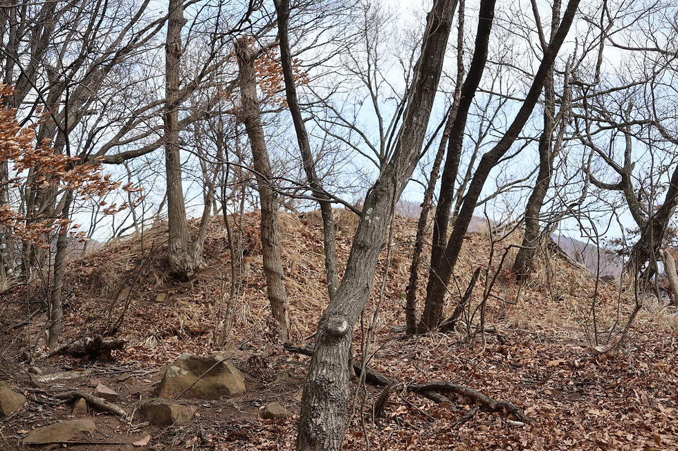 標柱はなかったけれど山頂かな