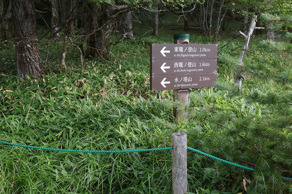 本日は東西の篭ノ登山へ 西は初めて♪