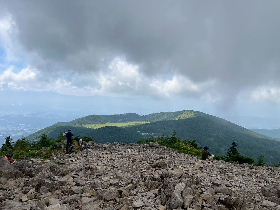 東篭ノ登山からの池の平湿原